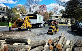 Best Artificial Turf Installation  in Lewisburg, WV